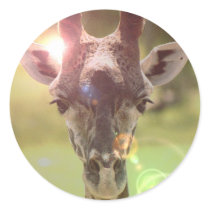 giraffe stickers