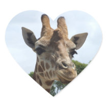 Giraffe Sticker - Heart