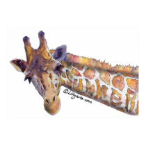 Giraffe Summer Watercolor Poster Print