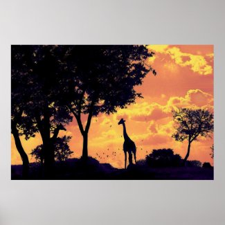 giraffe sunset