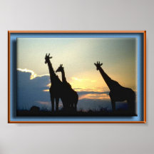 GIRAFFE SUNSET POSTER