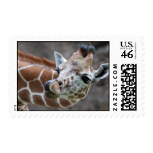 Giraffe Tongue Postage Stamp