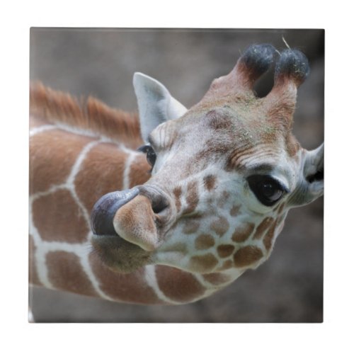 Giraffe Tongue Tile