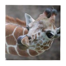 Giraffe Tongue Tile