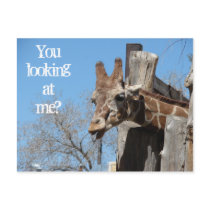 Giraffe Tongues postcards by Killlashandra Giraffe Tongues postcards