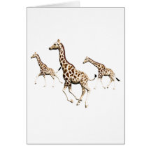 Giraffe Trio Greeting Cards
