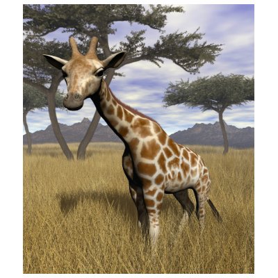Giraffe T-shirts by jasonmit