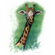 Giraffe t-shirts by FunGraphix Giraffe t-shirts