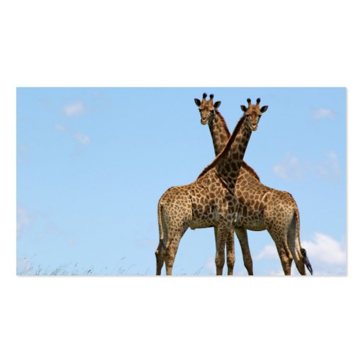 Giraffe Twins Business Cards (back side)