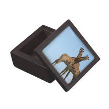 Giraffe Twins Premium Gift Box