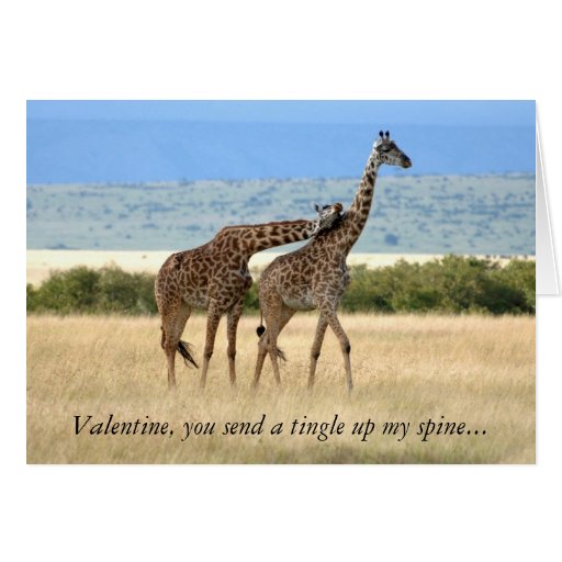 Giraffe Valentine's Day Card | Zazzle