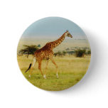 Giraffe walking Masai Mara Plains, Kenya button