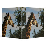 Giraffe wildlife safari binders