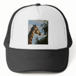 Giraffe wildlife safari hats & caps