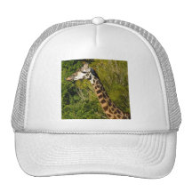 Giraffe with Tongue Sticking Out Curled Up Mesh Hats