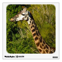 Giraffe with Tongue Sticking Out Curled Up Room Decal