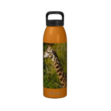 Giraffe with Tongue Sticking Out Curled Up Water Bottles