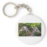 Giraffe X 2 Key Chains