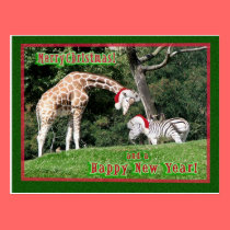 Giraffe Zebra Christmas postcards