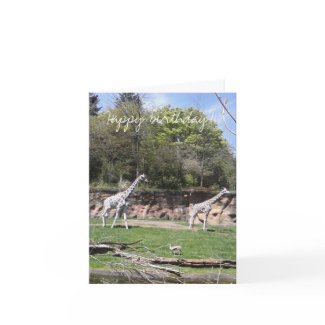 Giraffes- Birthday card