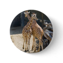 giraffes pinback button