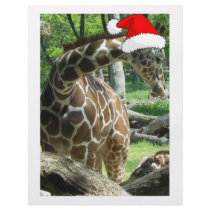 Giraffes flyers