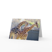 Giraffes in Love cards by slinky789 Giraffes in Love cards