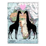 Giraffes in love post card