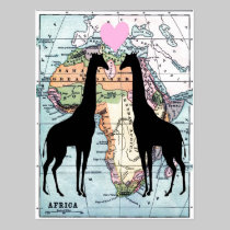 Giraffes in love postcards