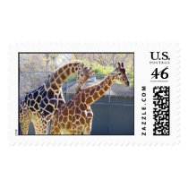 Giraffes in Love postage