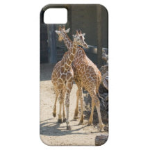 giraffes iPhone 5 covers
