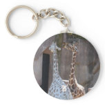 Giraffes Key Chain