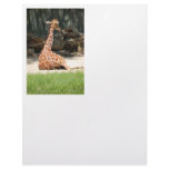 Giraffes Letterhead Template