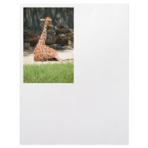 Giraffes Letterhead Template