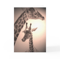 giraffes, mother and child cards