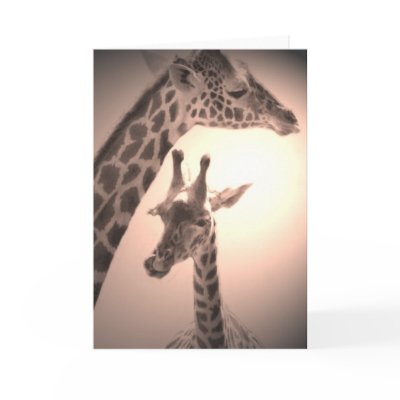 giraffes, mother and child cards by eunicorn