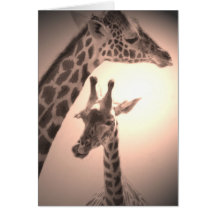 giraffes, mother and child cards