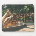 Giraffes Mousepad by Veroshi Giraffes Mousepad