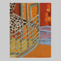 GIRAFFES:  MUNICH ZOO/TIERPARK HELLABRUNN postcards