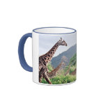 Giraffes of Tanzania mugs