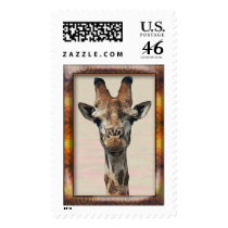 Giraffes Stamps