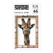 Giraffes postage