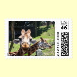 Giraffes Postage stamps