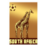 giraffe, giraffes, soccer, sunset, south africa,