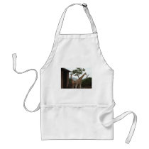 Giraffes Sydney Opera House Taronga Zoo Australia Aprons