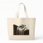 Giraffes Sydney Opera House Taronga Zoo Australia Canvas Bag Giraffes Sydney Opera House Taronga Zoo Australia Canvas Bag