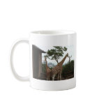 Giraffes Sydney Opera House Taronga Zoo Australia Mug Giraffes Sydney Opera House Taronga Zoo Australia Mug