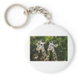 Giraffes X 2 Key Chains