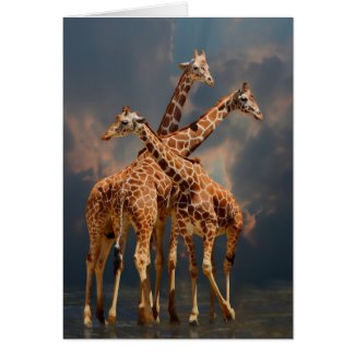 GIRAFFIC FANTASY card