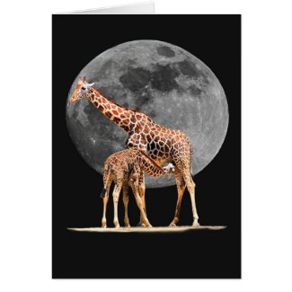 GIRAFFSTATION card
